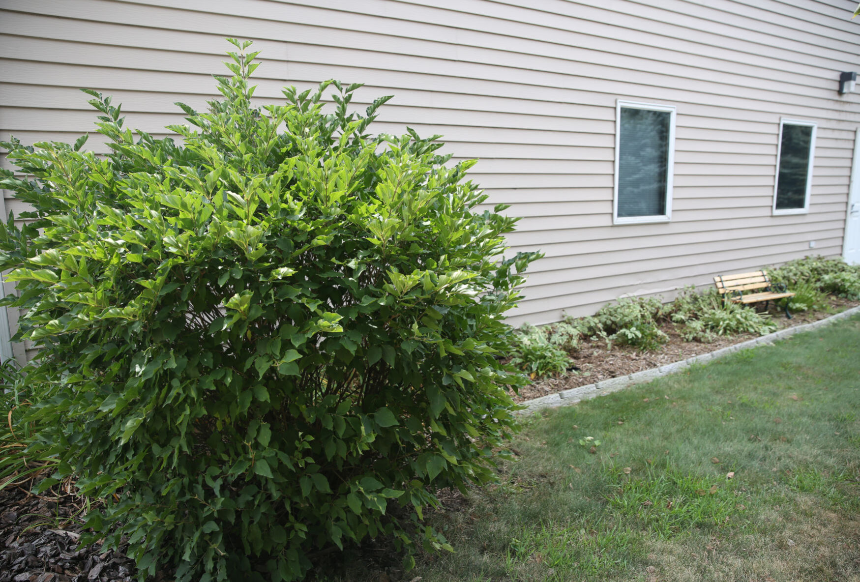 Messiah garden 10